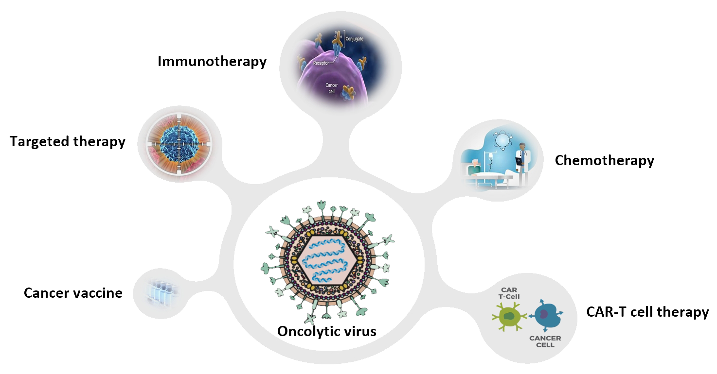 Oncolytic Virotherapy Virogin